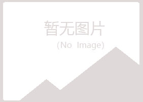 日照岚山分心美容有限公司